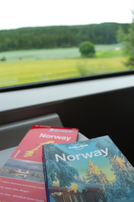 Lonely Planet guide to Norway